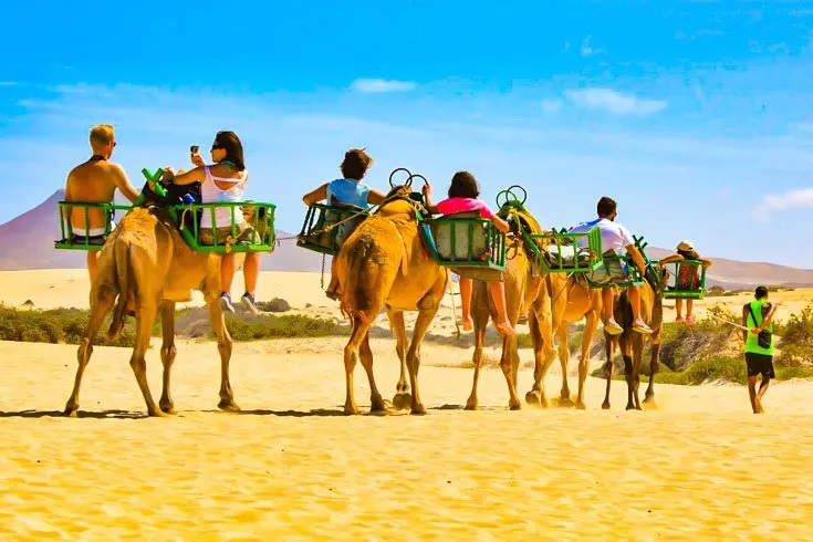 Explore the Mesmerizing Beauty of Rajasthan Desert with an Unforgettable Safari Trip!
