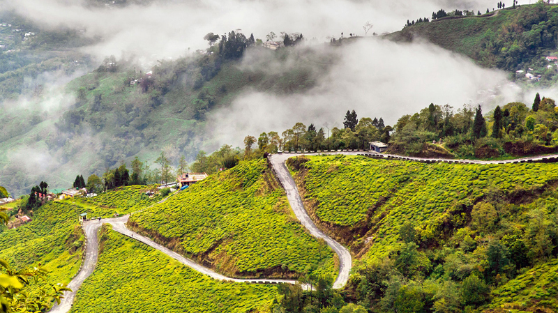 Take a Beautiful Darjeeling Gangtok Tour for the best experience