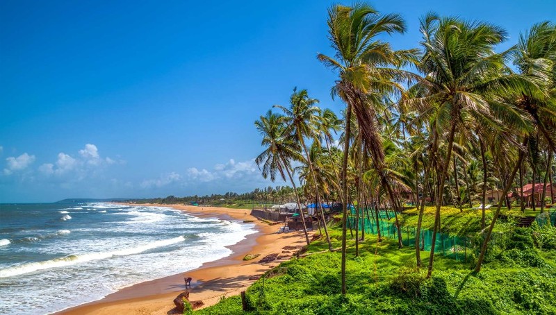 Goa Tour: Beaches, Food, Culture and Adventure