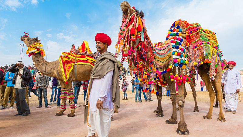 Discover the Marvels of Rajasthan's Rich Culture & Heritage