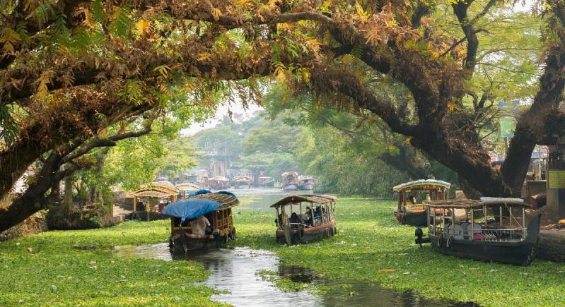Kerala Tour - Tips To Plan Perfect Vacation in Kerala