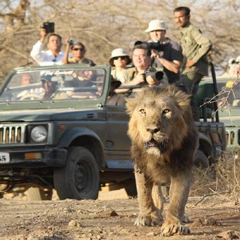 Gujarat Wildlife Tour
